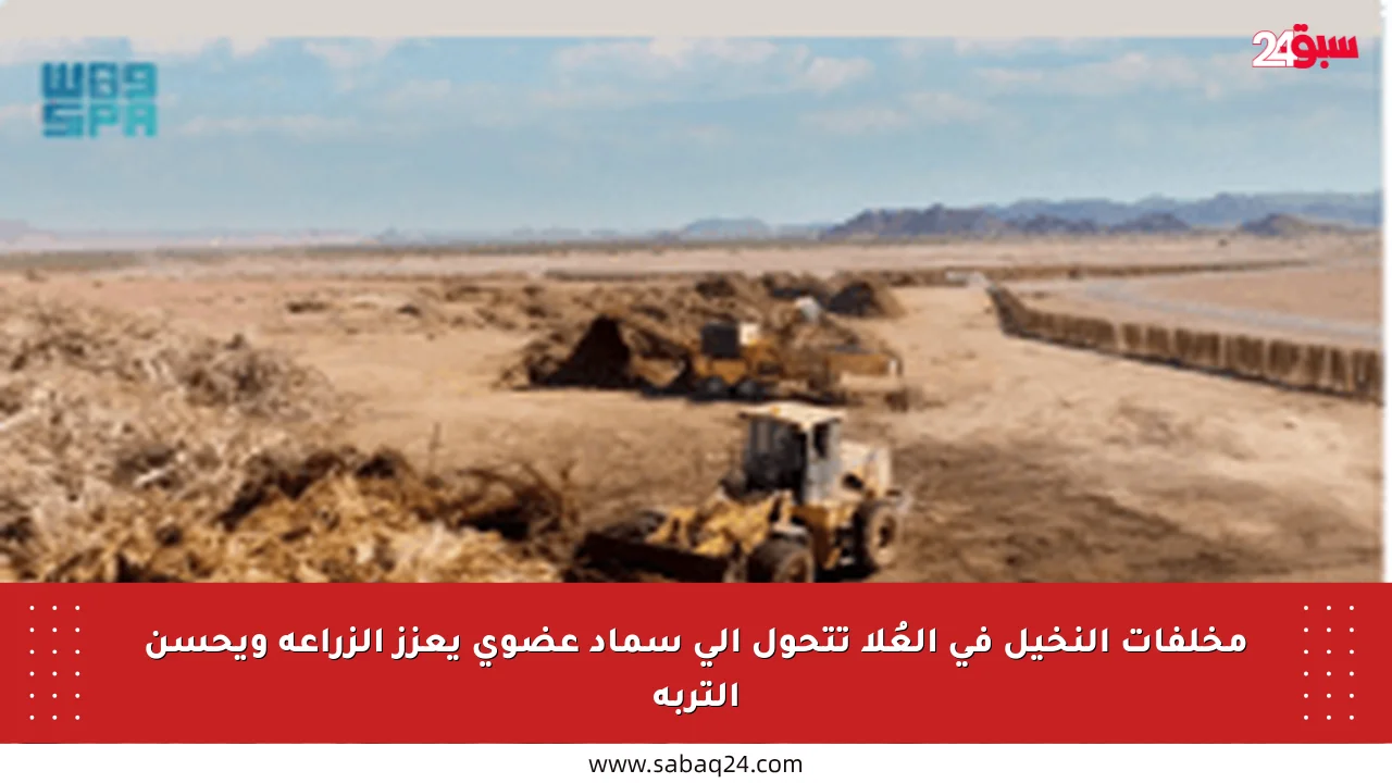 مخلفات النخيل في العُلا تتحول إلى سماد عضوي يعزز الزراعة ويحسن التربة